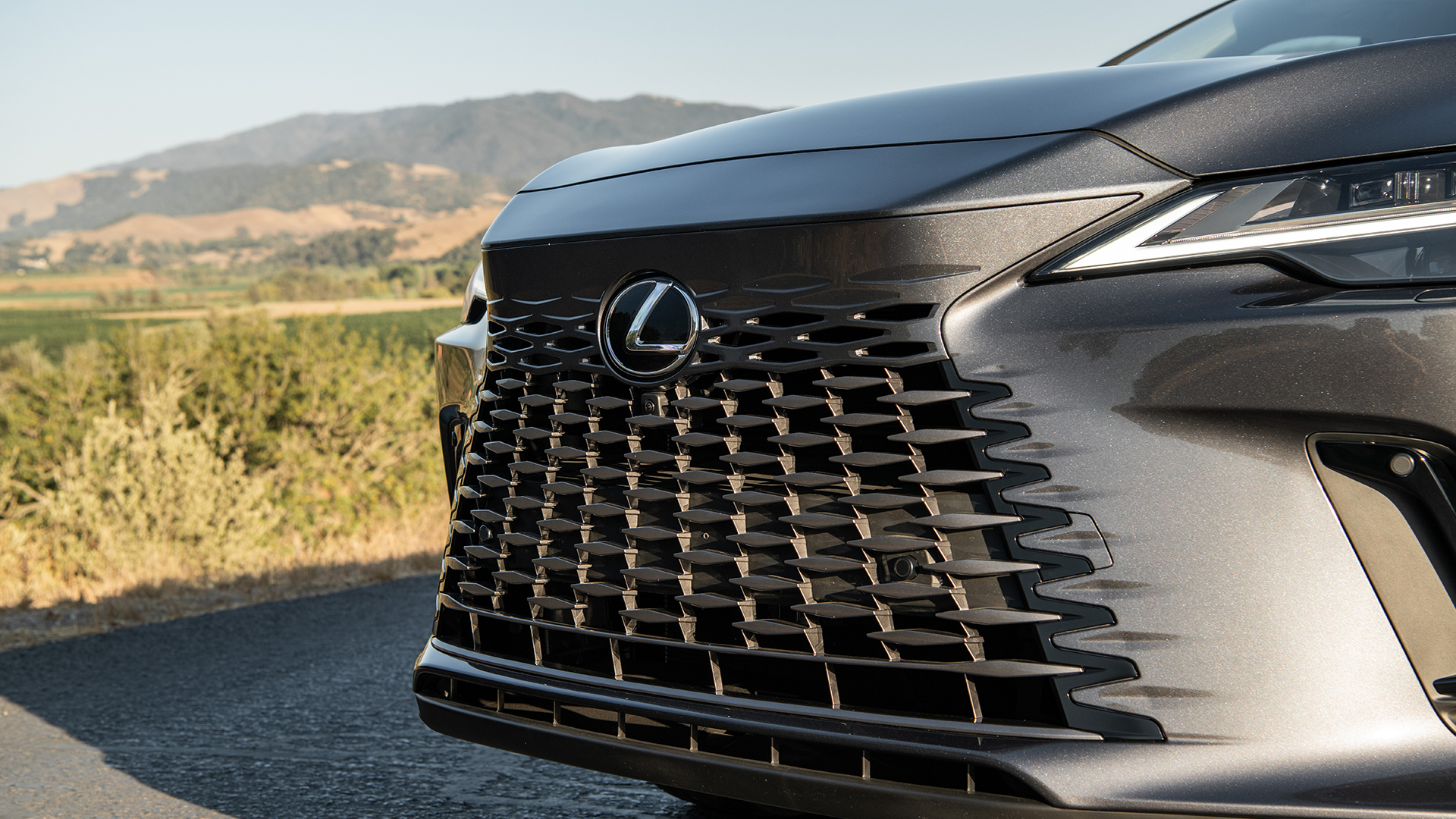 Lexus RX 450h+ Executive